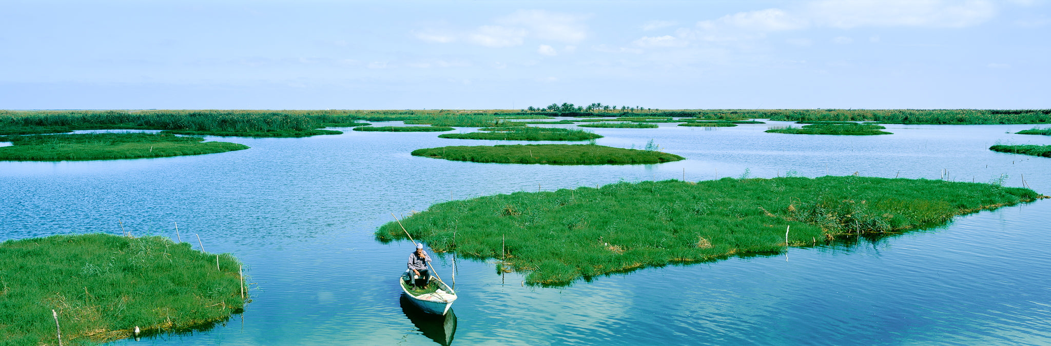 Manzala Lake