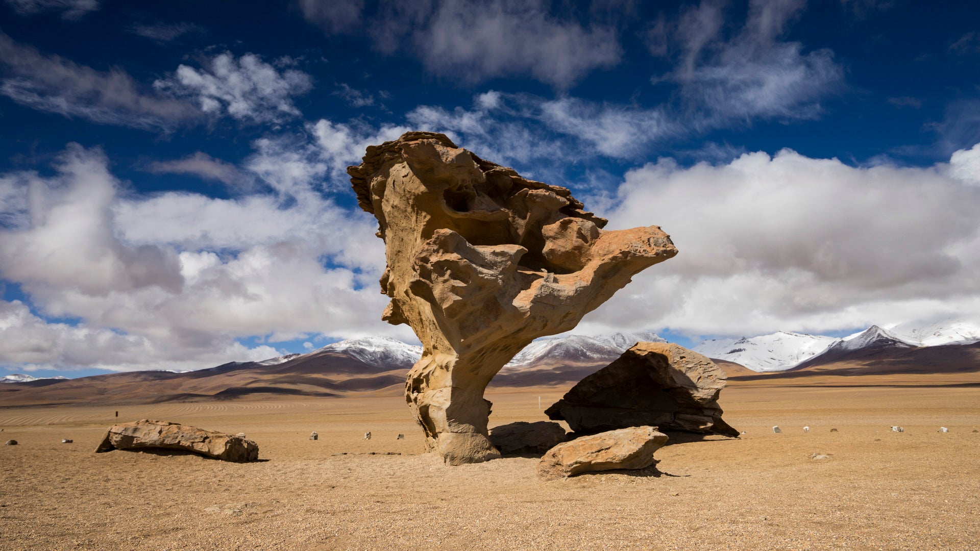 The Stone Tree, Uyuni