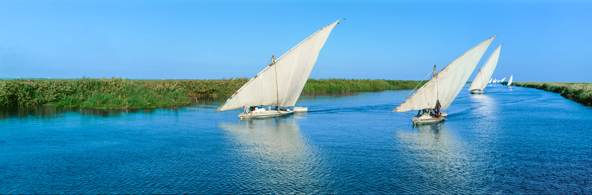 Manzala Lake 1998